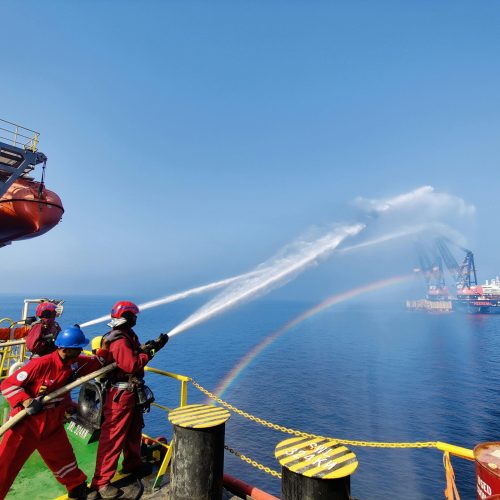 pexels anoop1992 17420877